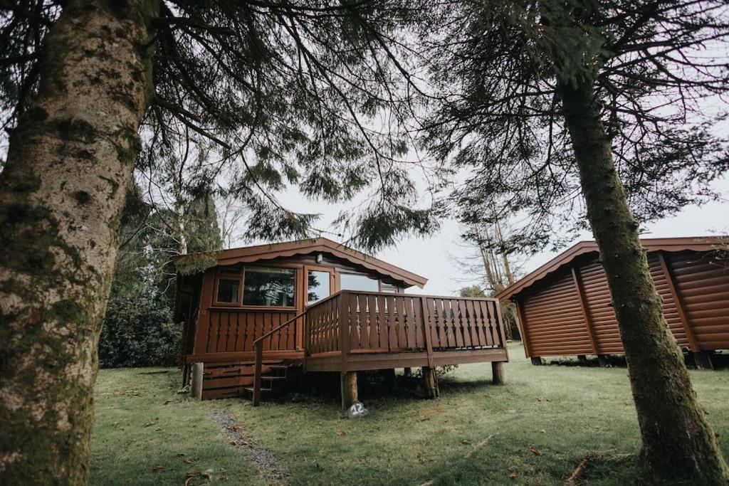 Rustic Log In Snowdonia - 2 Bedrooms & Parking Holiday home *